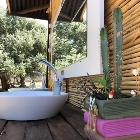 Medusa Kamp * Mugla